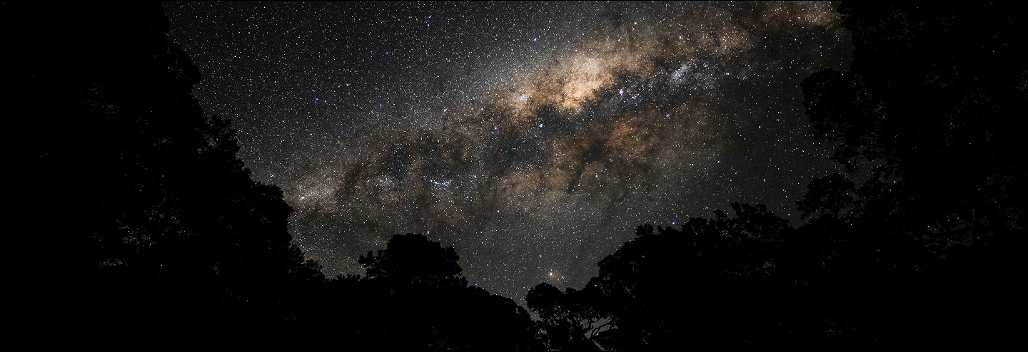 SKRALLS Brand Architecture