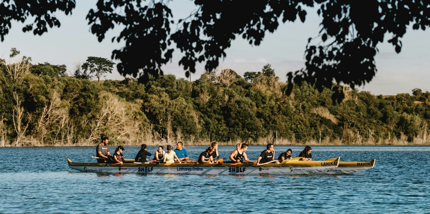 Industry Collaboration